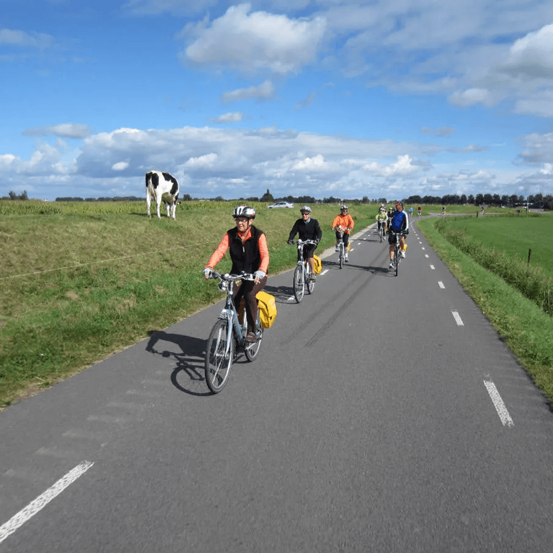 Webdesign Oosthuizen, Webdesign Snel een webdesigner - Boost jouw Online Succes met onze Hulp